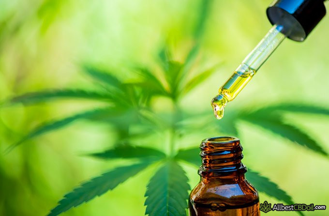 CBD tolerance: CBD oil. CBD tolerance: CBD oil.