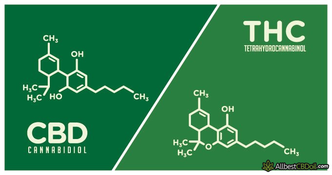 CBD vs THC - What Is the Difference Between CBD and THC?