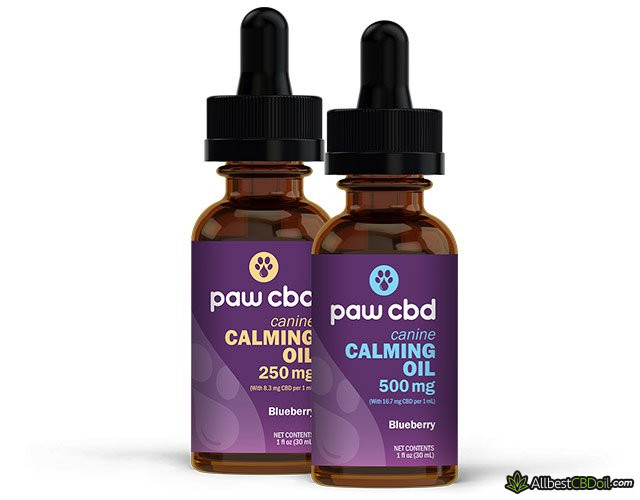 The Best CBD Oil for Cats Your Pet Deserves It (Top 7 Picks!)